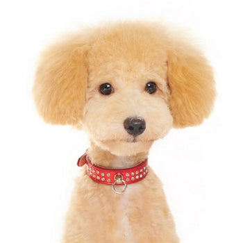 Celebrity Bling Rhinestone Studded Dog Collar - Red