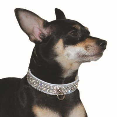 Celebrity Bling Rhinestone Studded Dog Collar - Silver