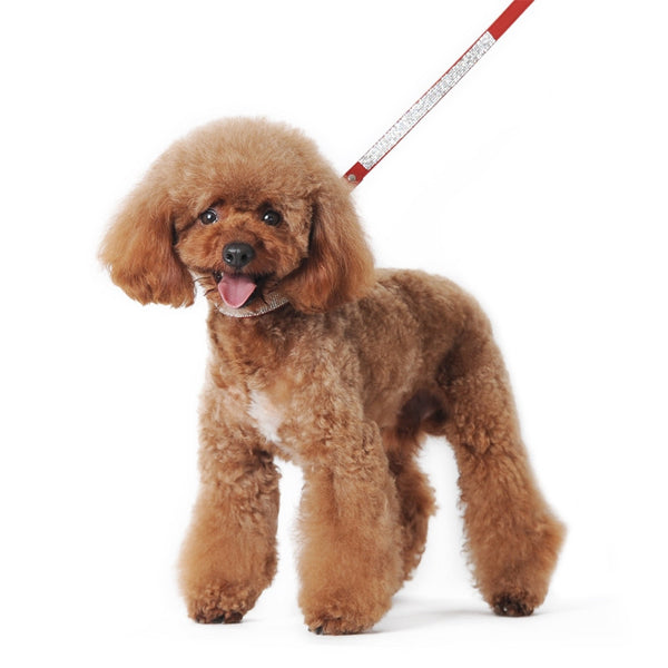 VIP Bling Dog Leash