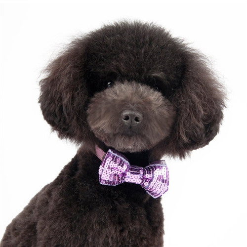 EasyBow Dog Bow Tie - Purple Sequins