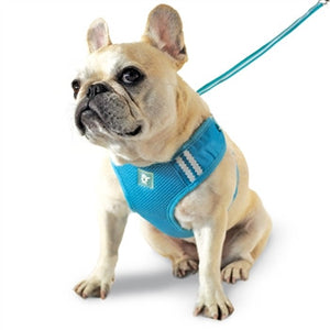 EasyGO Soft Step-In Dog Harness - Basic