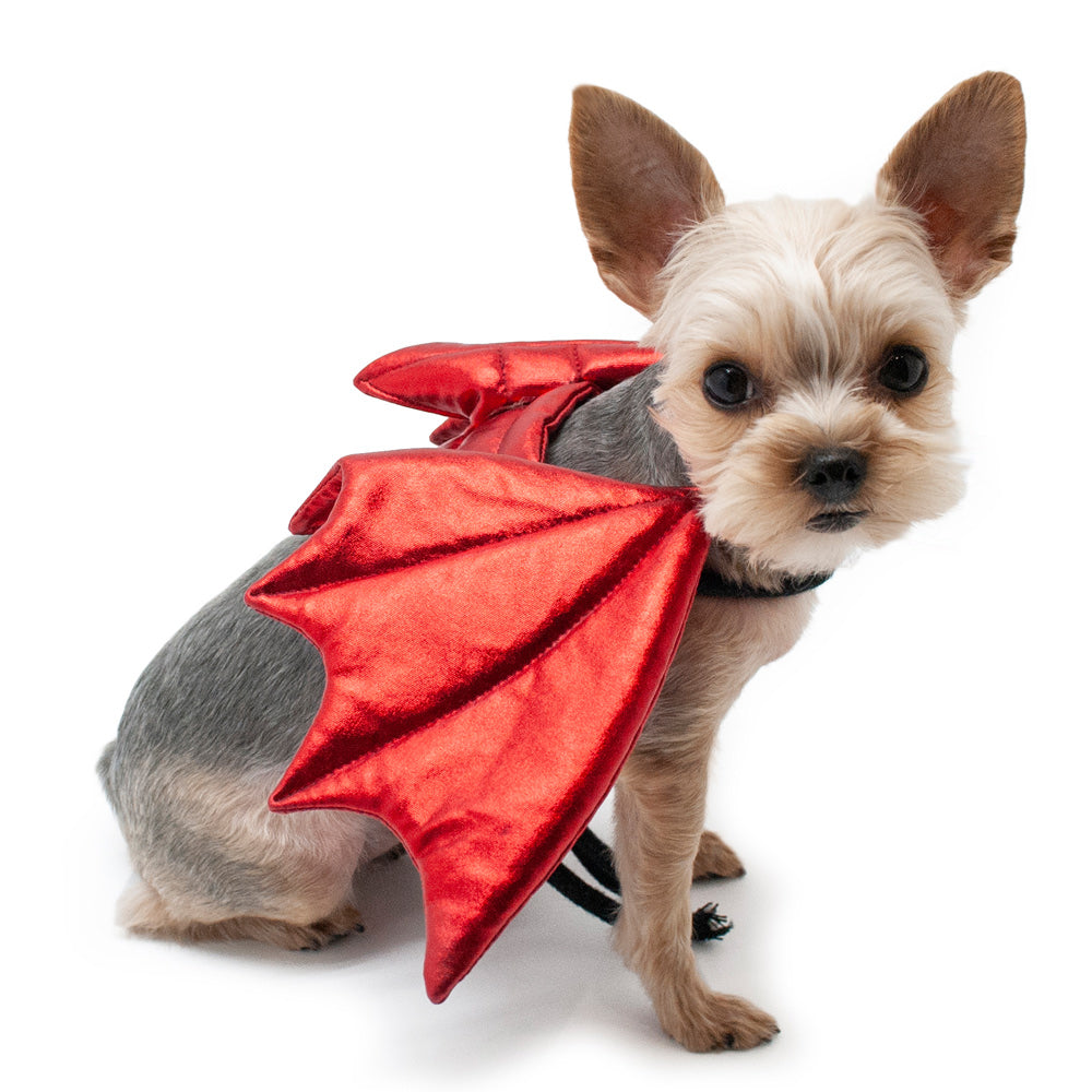 Dragon Wings Dog Halloween Costume - Red