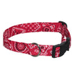 Elmo's Closet Rodeo Dog Collar
