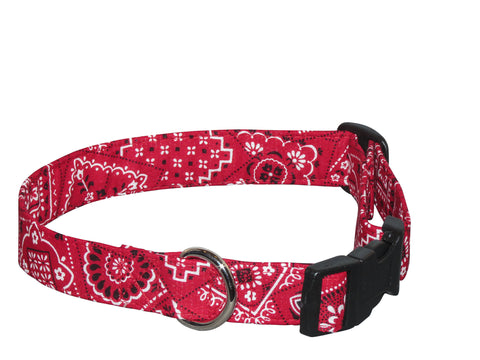 Elmo's Closet Rodeo Dog Collar