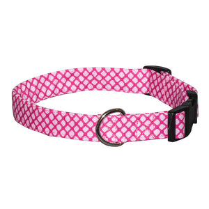 Elmo's Closet Pink Lattice Dog Collar