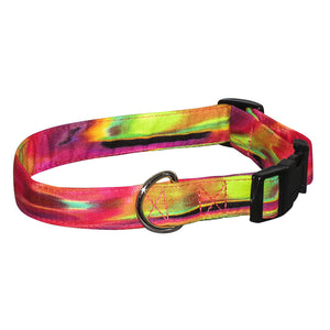 Elmo's Closet Boreal Dog Collar