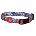 Elmo's Closet Western Wear Dog Collar