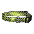 Elmo's Closet Citrus Geometric Dog Collar
