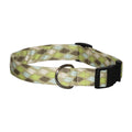 Elmo's Closet Diamond Maze Dog Collar