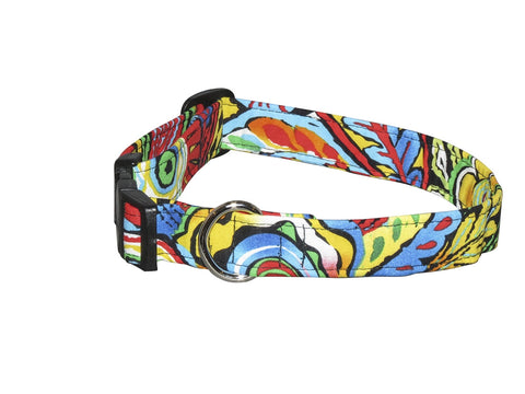 Elmo's Closet Samba Dog Collar