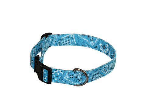 Elmo's Closet Roundup Dog Collar