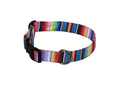 Elmo's Closet Fiesta Dog Collar