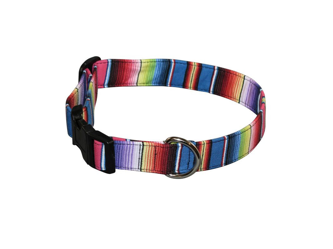 Elmo's Closet Fiesta Dog Collar - Small (Outlet Sale Item)