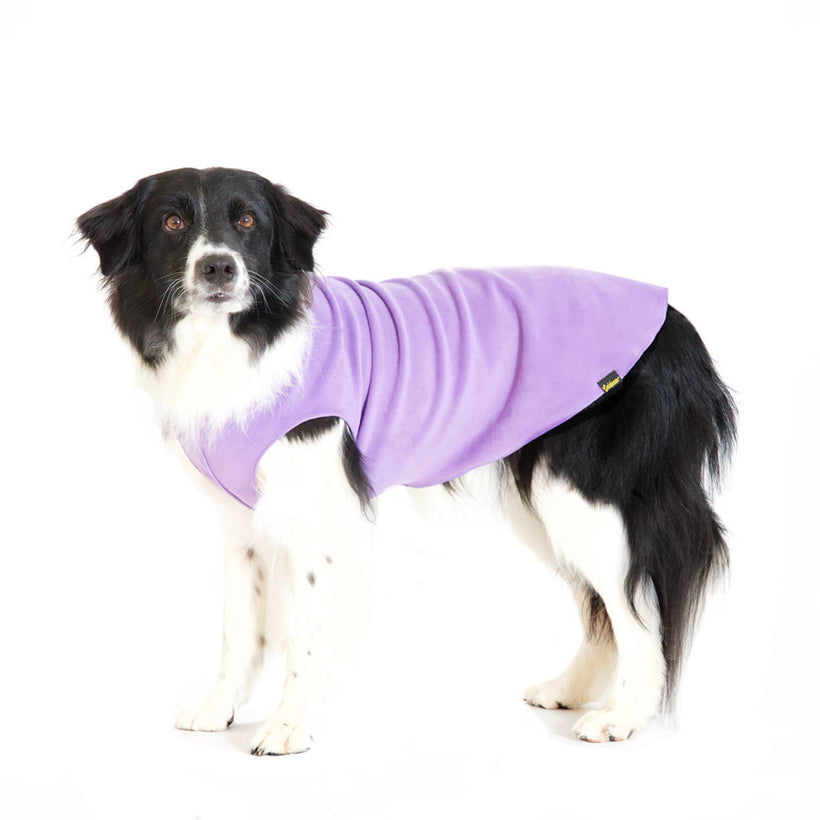 Dog Sweaters