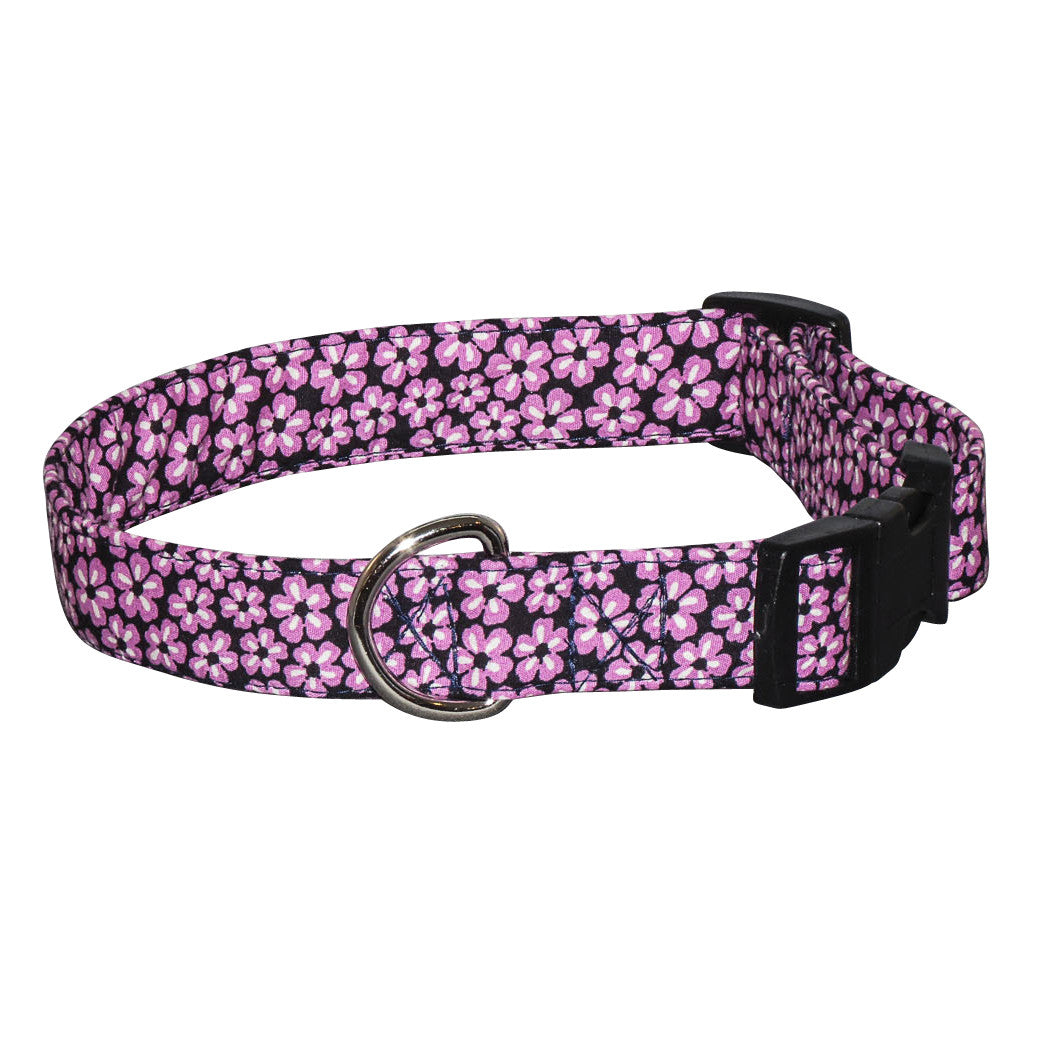 Elmo's Closet Violas Dog Collar