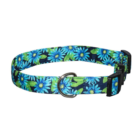 Elmo's Closet Blue Asters Dog Collar