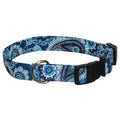 Elmo's Closet Christina Dog Collar
