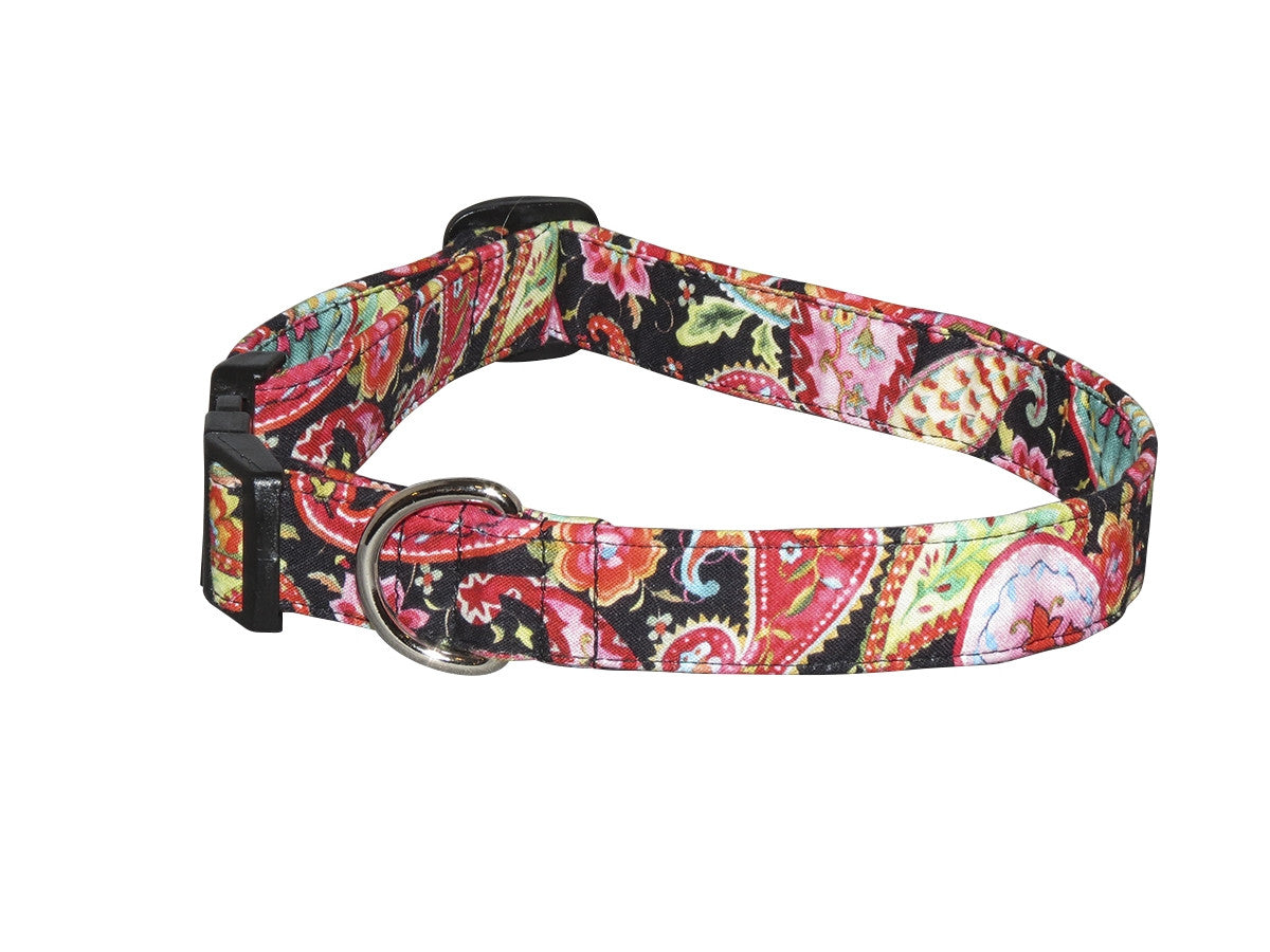 Elmo's Closet Cassandra Dog Collar