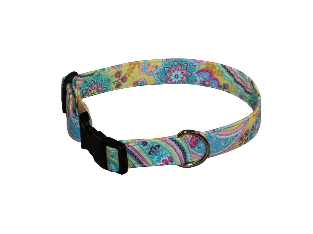 Elmo's Closet Melissa Dog Collar