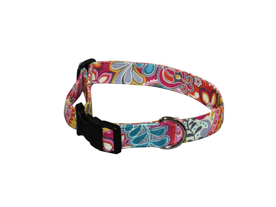 Elmo's Closet Gypsy Dog Collar
