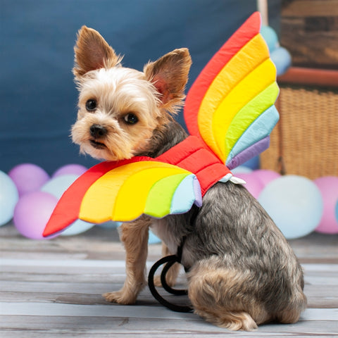 Dragon Wings Dog Halloween Costume - Rainbow