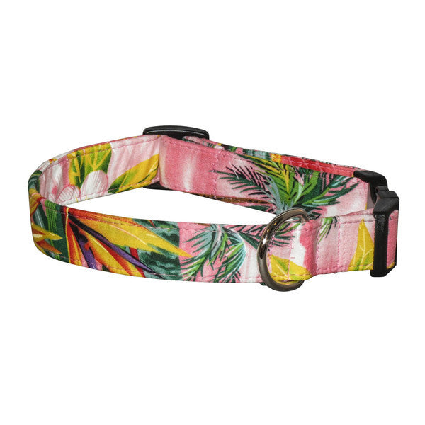 Elmo's Closet Pink Paradise Dog Collar