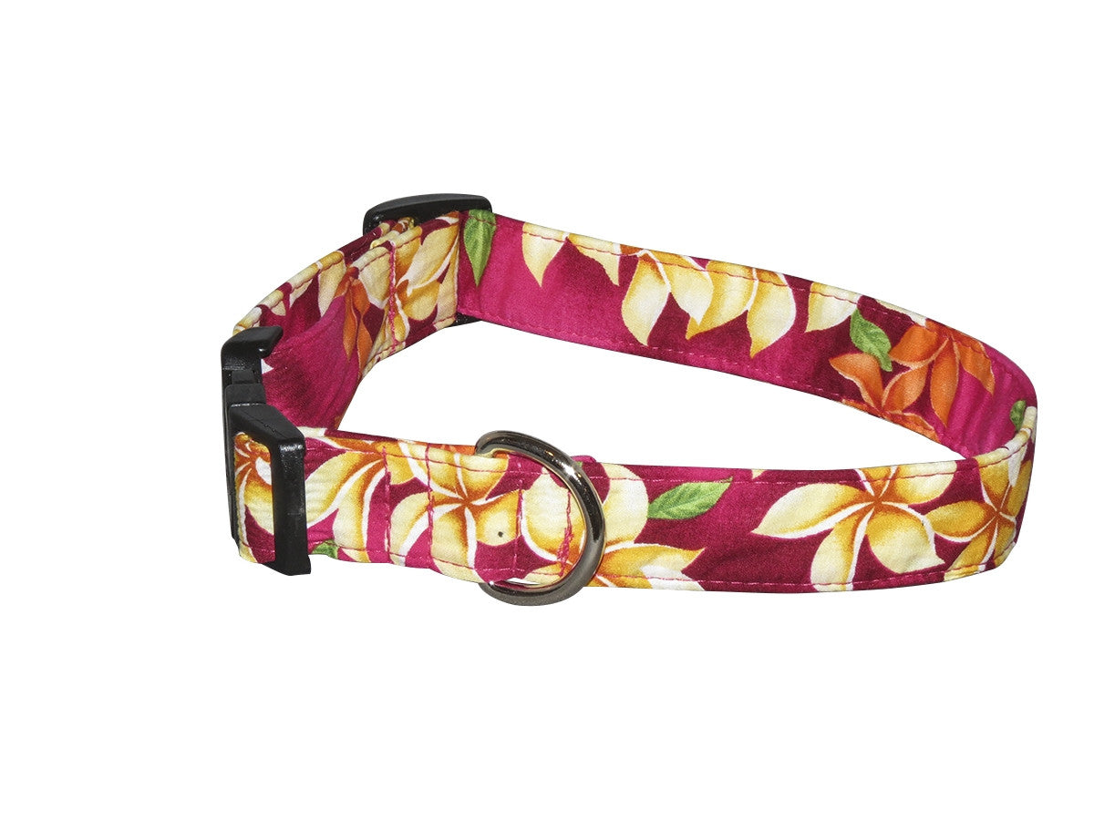 Elmo's Closet Fuchsia Plumeria Dog Collar