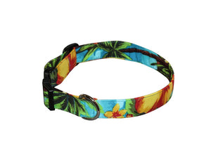 Elmo's Closet Tropical Paradise Dog Collar