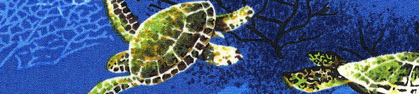 Elmo's Closet Marine Turtles Dog Collar