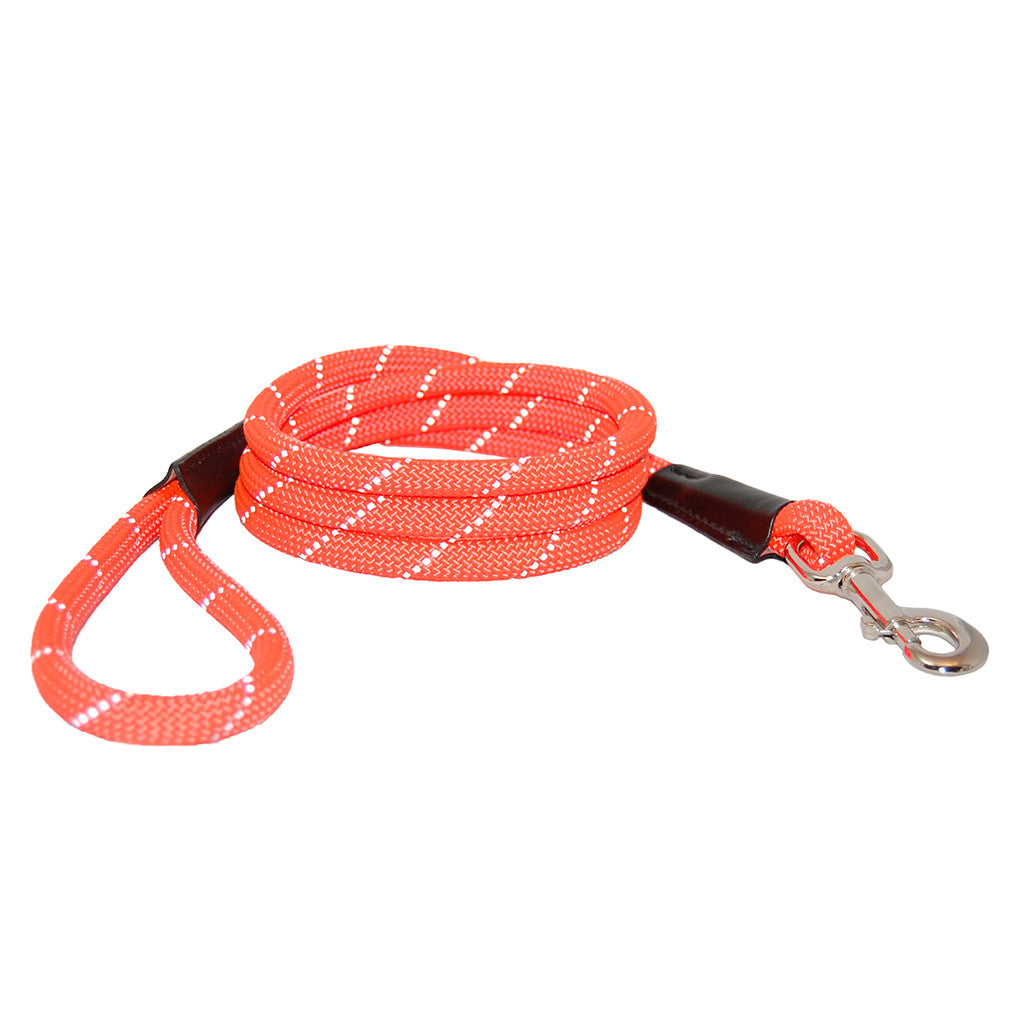 Reflective Rope Dog Leash - Orange