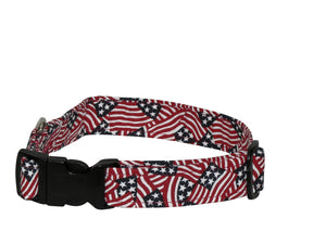 Elmo's Closet Spirit of 76 Dog Collar