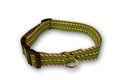 Candy cane stripe dog collar in green with red-and-white stripes and metal buckle