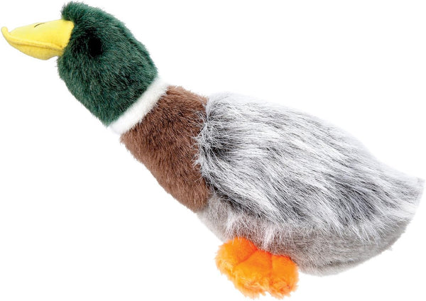 Squawk Flock Mallard Duck Dog Toy
