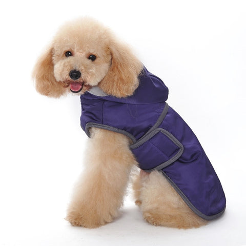 Classic Trench Coat For Dogs - Purple