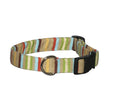 Elmo's Closet Multi Stripe Dog Collar