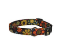 Elmo's Closet Autumn Floral Dog Collar