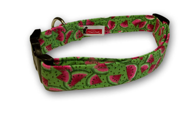 Elmo's Closet Watermelons Dog Collar