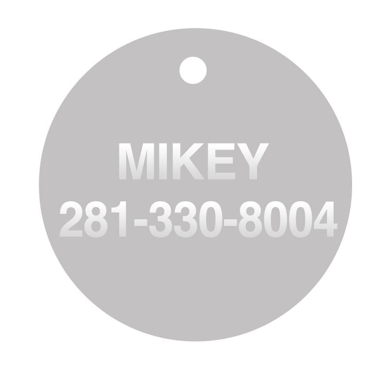 Teddy Bear Dog Tag