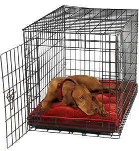 Bowsers Chocolate Bones Luxury Crate Mattress