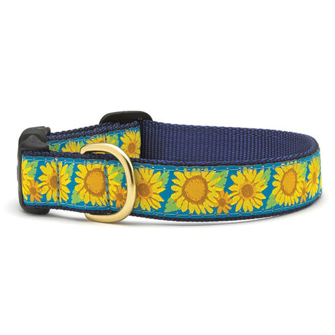 Up Country Bright Sunflower Dog Collar