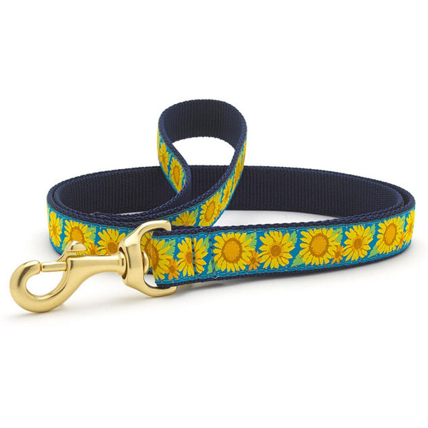 Up Country Bright Sunflower Dog Collar