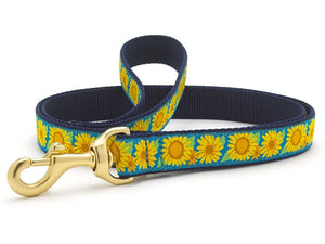 Up Country Bright Sunflower Dog Leash