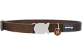 Red Dingo Designer Cat Safety Collar - Classic Brown