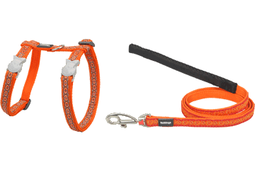 Red Dingo Designer Cat Harness and Lead Combo - Snake Eyes Orange