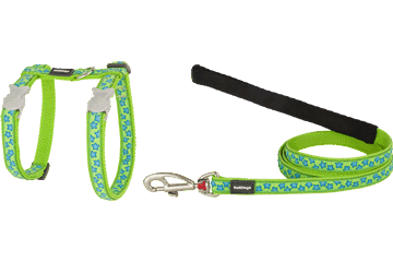 Red Dingo Designer Cat Harness and Lead Combo - Star (Turquoise/Lime)