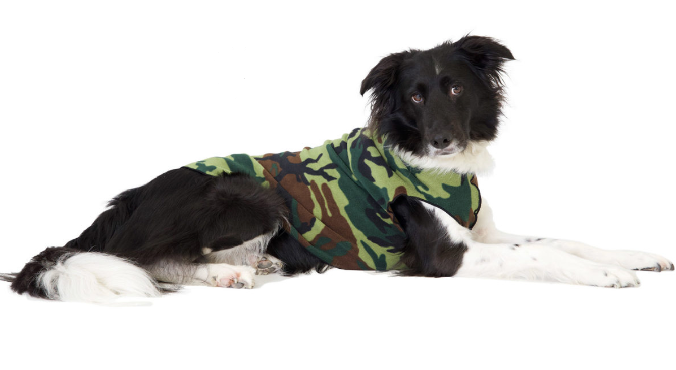 Gold Paw Stretch Fleece Dog Coat - Camouflage