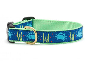 Up Country Crabby Dog Collar