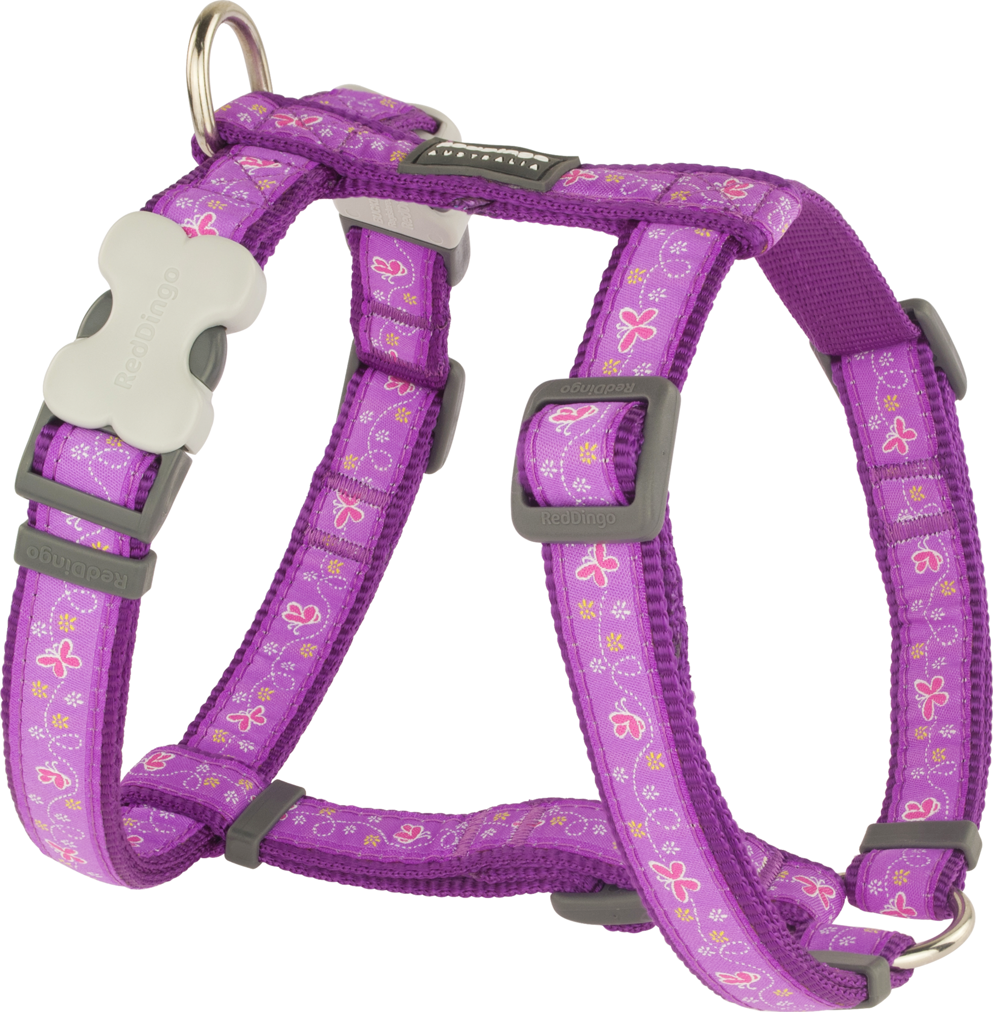 Red Dingo Designer Dog Harness - Butterfly (Purple)