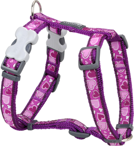 Red Dingo Designer Dog Harness - Breezy Love (Purple)