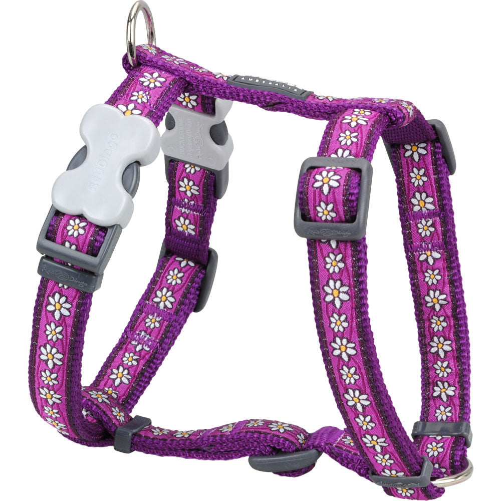 Red Dingo Designer Dog Harness - Daisy Chain (Purple)